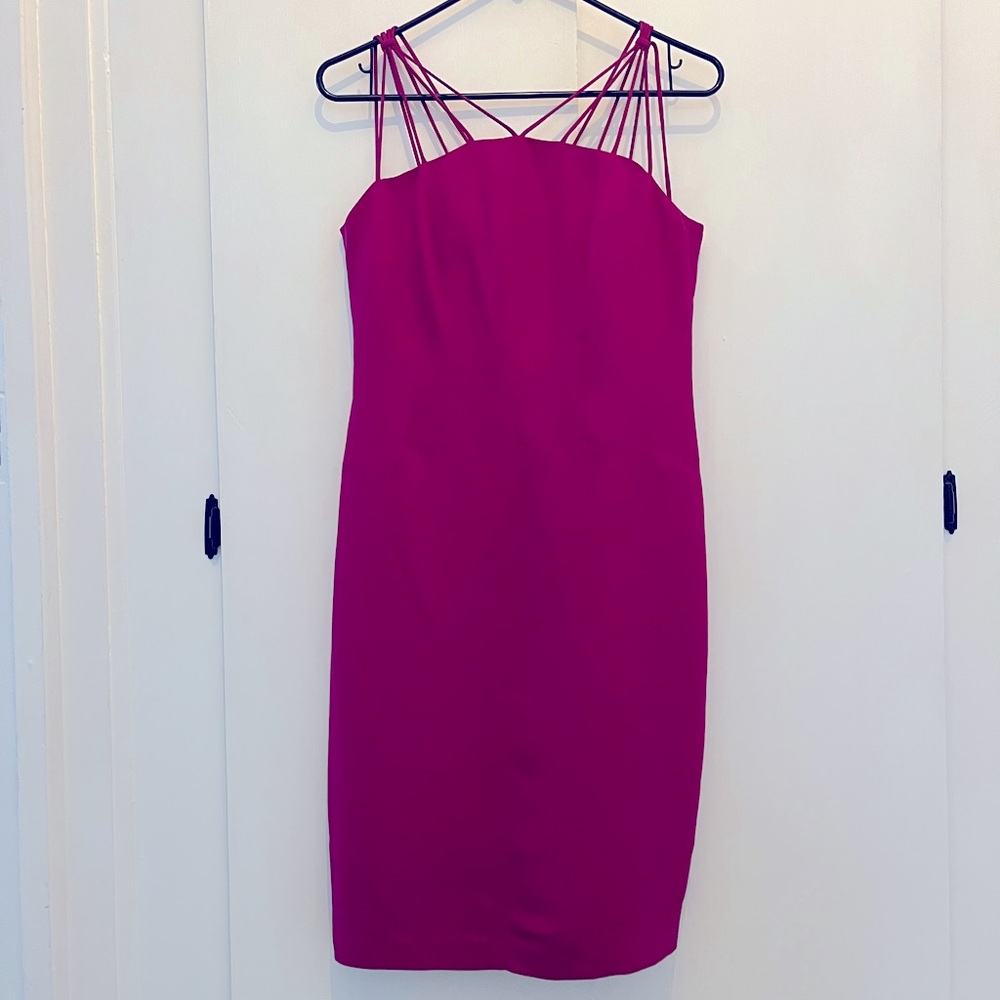 Evan-Picone Magenta Sleevless Cocktail Dress Size 4